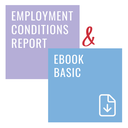 Basic eBook Plus
